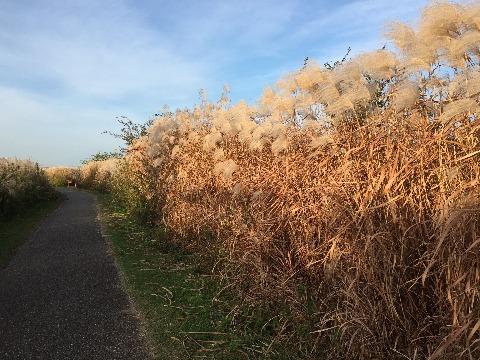 この冬一の冷え込み