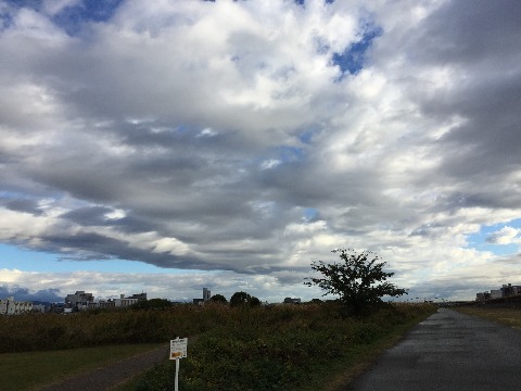 淀川河川敷