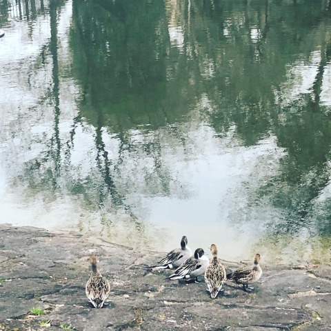 公園でドリル