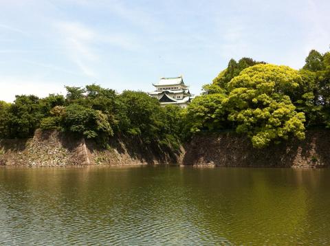名古屋城を西側から。