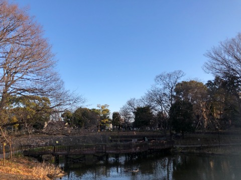 公園ドリルとジムトレ