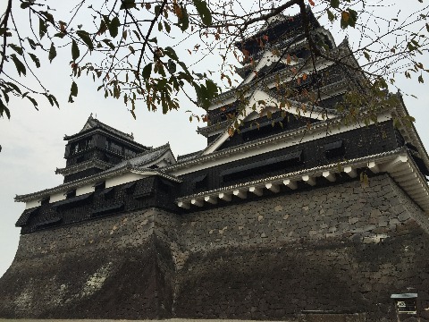 今朝はゴルフのため休足。　観光で熊本城へ。