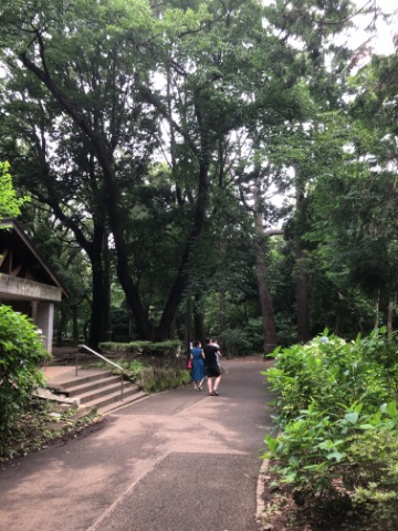 林試の森公園