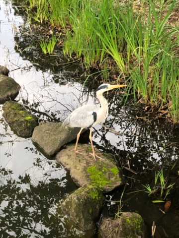 文庫の杜にて