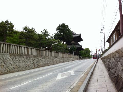 徳川家菩提寺、大樹寺を回るコース(^^)