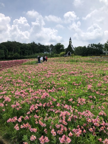 日誌の記載がありません