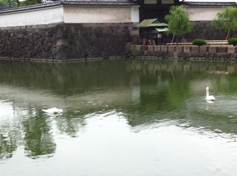 東京出張皇居ラン