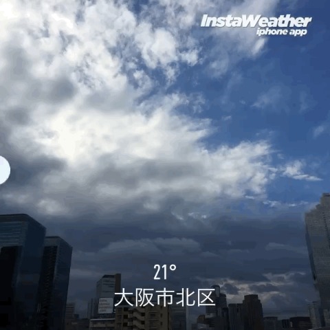 暴風雨後の朝
