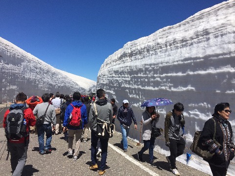 室堂　雪の大谷