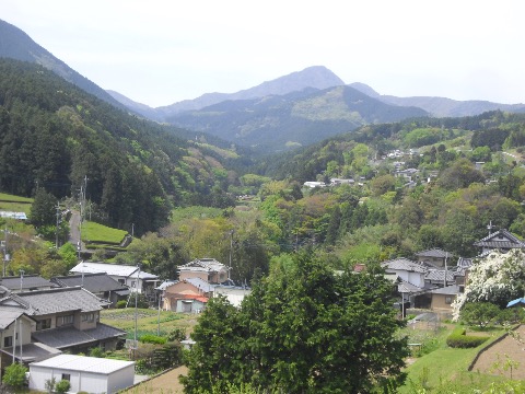 遥かに金時山をのぞむ