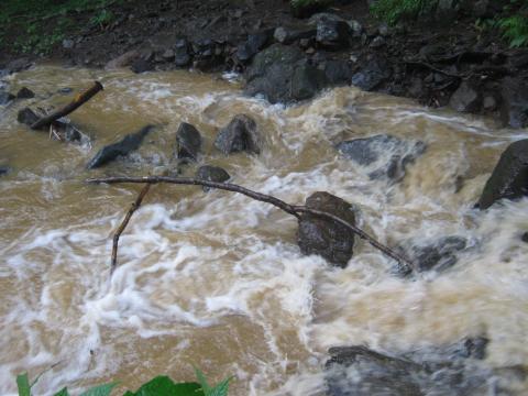 帰りは猛烈な土砂降り、雷もあちこちで落ちる。
道は川状態。沢は濁流が流れ込み
渡渉時はちょっときもを冷やす。