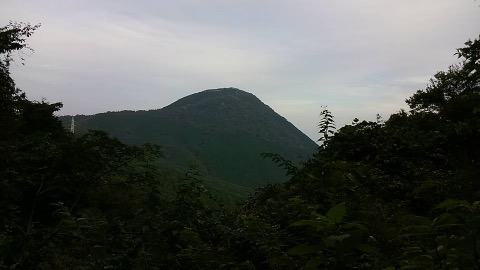 足柄峠付近から矢倉岳
