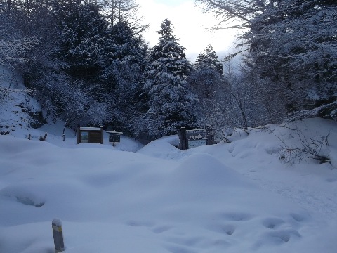 美濃戸山荘前　今年は雪が多い　今朝は冷え込み、標高１８００mのこの辺りの気温は氷点下１５度　周辺は晴れているけど八ヶ岳の上部は雲に覆われていて風が強そう