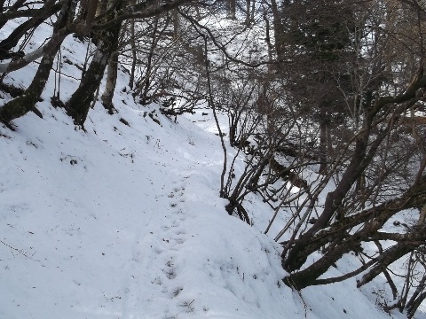 三蓋山からつげ峠に駈けての北斜面には結構雪が残り至る所凍結している。要注意