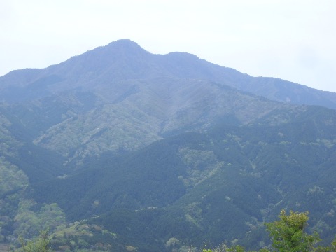 矢倉岳よりこれからたどる金時山