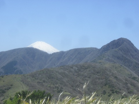 金時山と富士