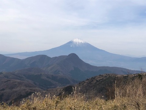 明神ヶ岳から金時山を抱いた富士