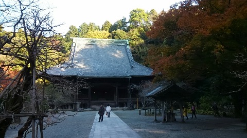 妙本寺