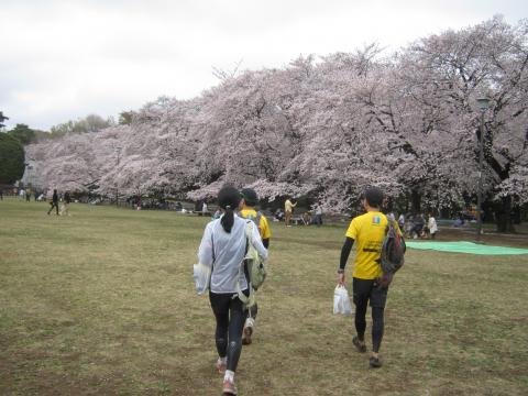 23キロ走って、小金井公園に到着、コナンさんの左手には・・・。