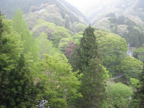中川温泉の新緑
武田信玄の隠し湯という由来のある温泉
紅葉の時期も素晴らしいところ
表丹沢に比べ、入る人も少なく
穴場的存在の場所である。