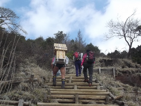 大倉尾根を登る丹沢チャンプ　６２歳にして塔の岳登頂５０００回！