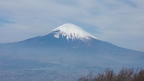 今日は富士もくっきりとのぞめる