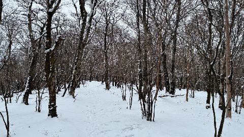 極上のスノートレイル