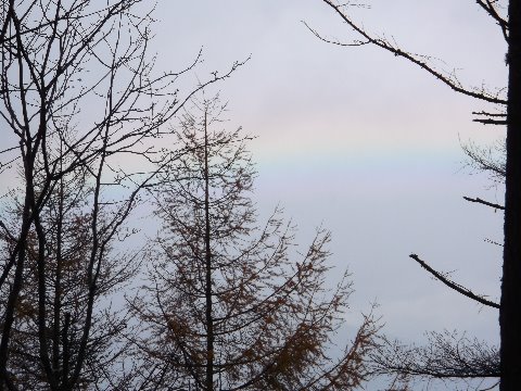 雨上がりの空に
大きな虹が！