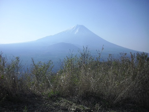 パモラマ台からの富士