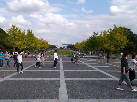 立川の昭和記念公園　今日は１周しかできなかったが　今度じっくりと走ってみたい