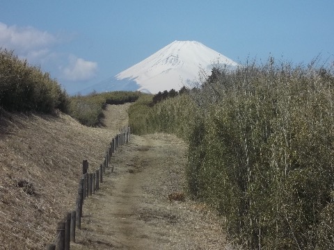 外輪山に入ると見事な富士が正面に