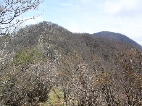 大室山の登り。そろそろきつくなってきた