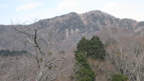金時神社からの金時山
標高差は500mくらい
