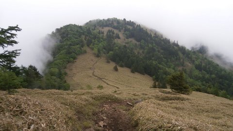 夏は高山植物が咲き乱れる　石丸峠　ここから７キロの快適なロングトレイルが始まる～（嬉）　標高差1000mを休憩込み
1時間半程度で
ゆっくりペースで駆け下りる