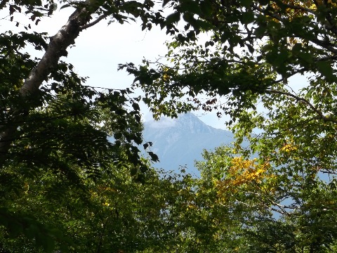 木々の合間から北岳がチラリ　本来なら日本第１と第２の高峰が同時に見られる贅沢