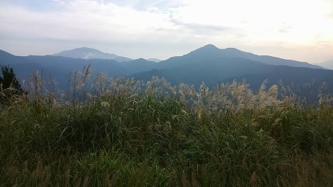 矢倉岳から箱根方面