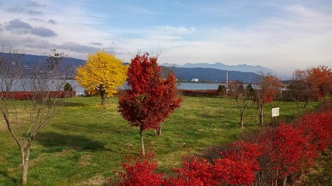 諏訪湖畔は紅葉真っ盛り