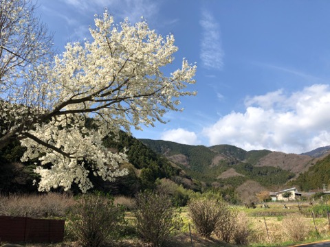 日向の山里風景