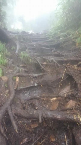 剣が峰からの急降下　そうでなくとも木の根や岩が露出していて滑りやすいのに、雷雨でさらに条件が悪化