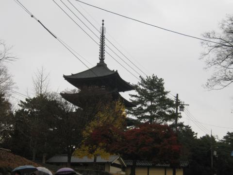 興福寺　五重塔
まだ、紅葉がきれいだ