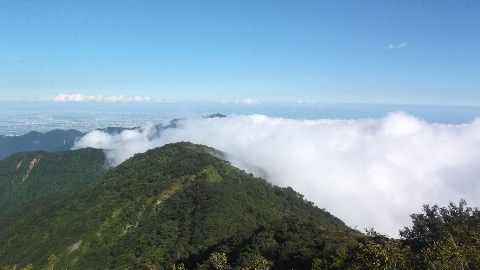 稜線に上がると丹沢では珍しい雲海が