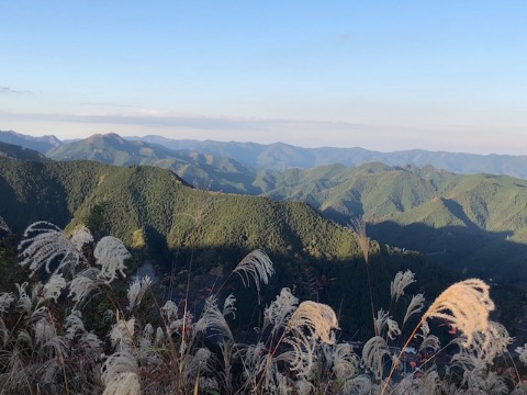 ススキを前景に