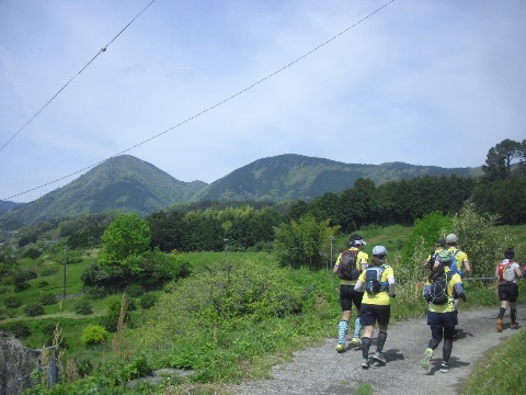 これから登る矢倉岳を横目にのどかな足柄路をジョグ