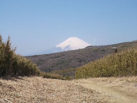 小田原からひたすら登り続けて２１キロようやく外輪山の稜線に、きつかったな～
