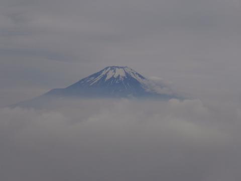 塔ノ岳山頂にて忽然と姿を表した富士。素晴らしい！