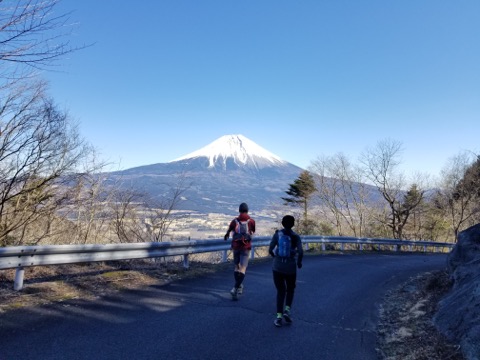 快晴の富士を正面に　標高１２００m付近の林道を下る
