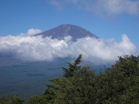 立山展望台から富士　今日は日本晴れ