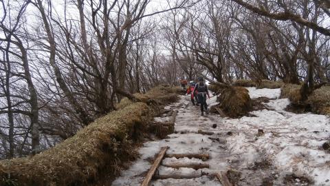 塔ノ岳から先は至るところ残雪がストックがあったほうがよかった