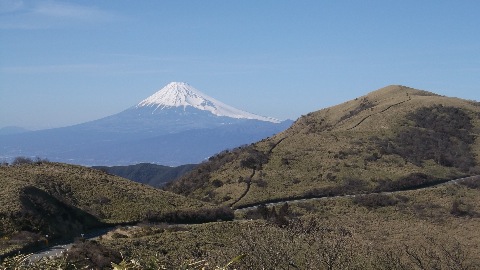 これから辿る達磨山と富士