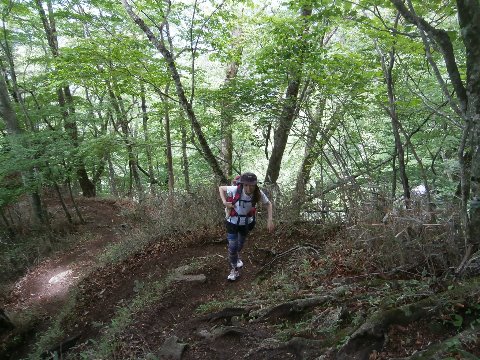 大菩薩北尾根経由で丸川峠を目指す。急な登りの連続でバテ気味のH嬢